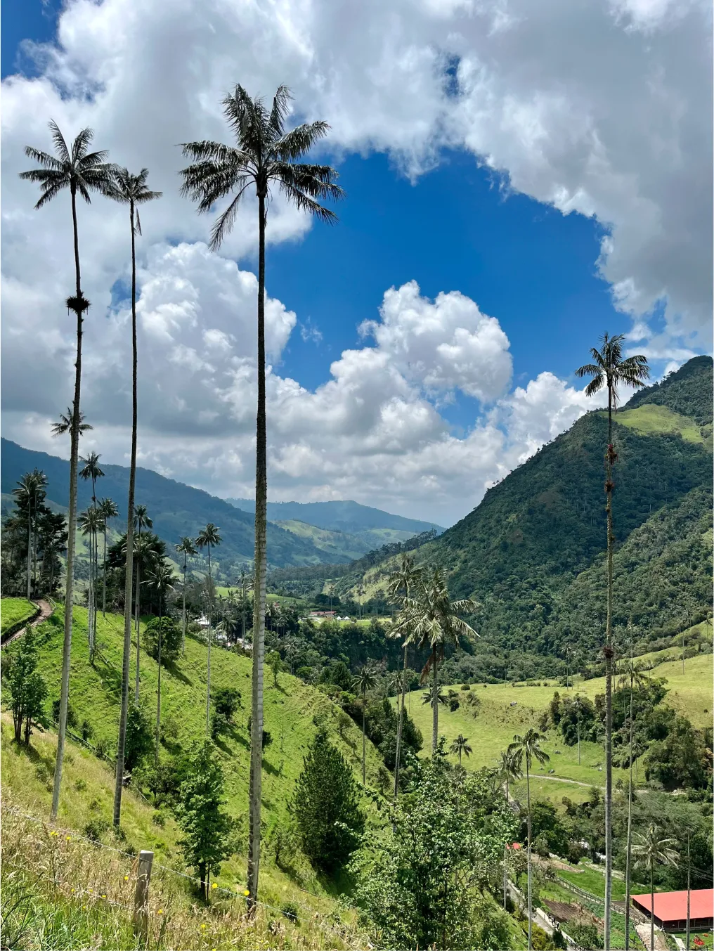 Imagen del valle del cocara, Quindio, Colombia